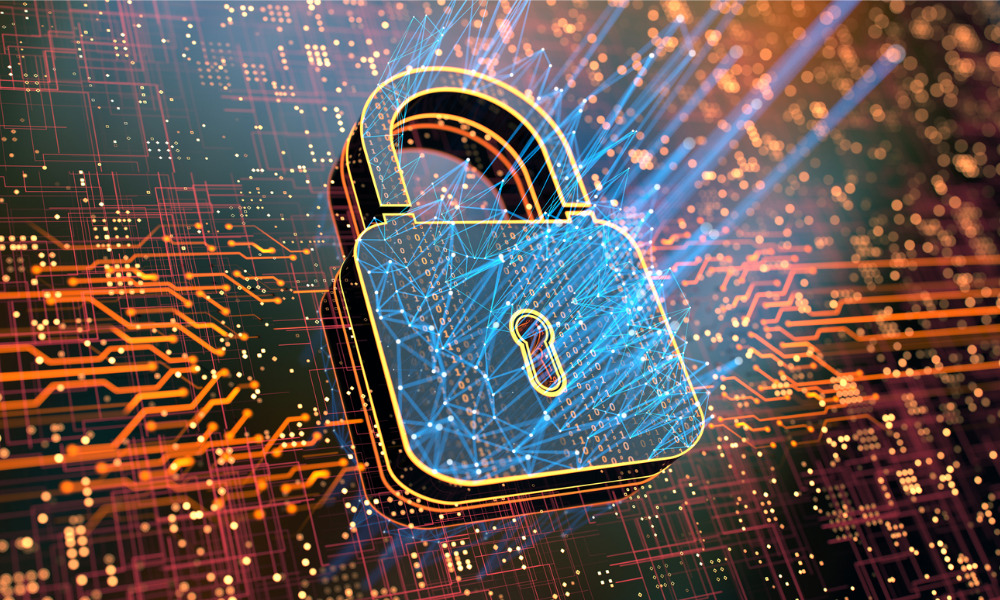 Enhancing Cyber Security at the Government Agency Level for a Digital Future